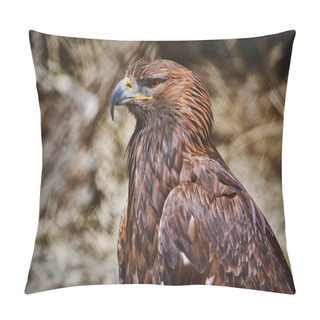 Personality  Close Up Portrait Of Golden Eagle (Aquila Chrysaetos Canadensis) Pillow Covers