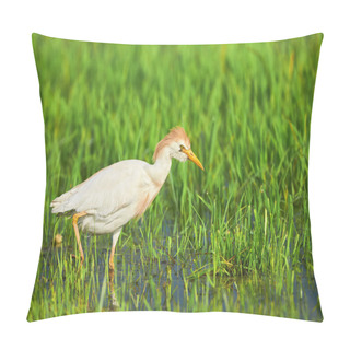 Personality  Cattle Egret In Paddy Field Pillow Covers