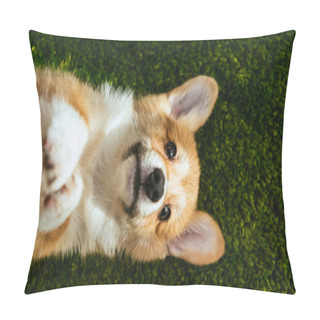 Personality  Top View Of Welsh Corgi Pembroke On Green Lawn At Home Pillow Covers