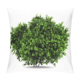Personality  Bigleaf Hydrangea Bush Isolated On White Background Pillow Covers