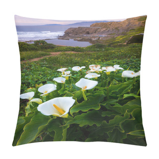 Personality  Wild Calla Lilly During Sunset  Pillow Covers