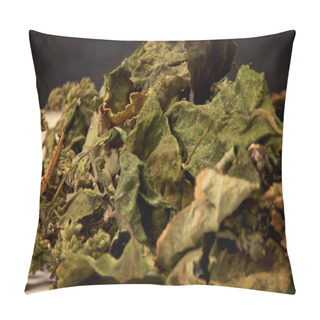 Personality  Detailed View Of Dried Pogostemon Cablin Patchouli Leaves And Fl Pillow Covers