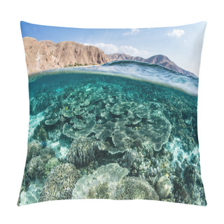 Personality  Coral Reef And Arid Island Pillow Covers
