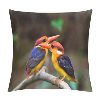 Personality  Pair Of Coloful Birds Perching On Stick Infront Of Dirt Cliff While Digging Hole For Their Nest During Breeding Season, Black-backed Kingfisher (oriental Dwarf Kingfisher) Pillow Covers