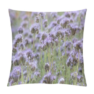Personality  Meadow Herbs Pillow Covers