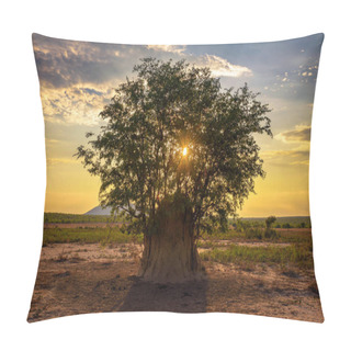 Personality  Sunset Behind A Tree Growing Out Of A Large Termite Mound In Namibia Pillow Covers