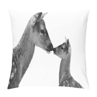 Personality  Cute Mother And Baby Deer Isolated In The White Background Pillow Covers