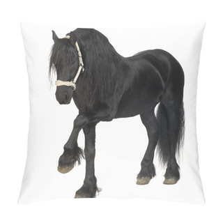 Personality  Friesian Horse Pillow Covers