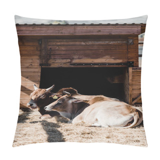 Personality  Sunlight On Bulls Lying On Hay  Pillow Covers