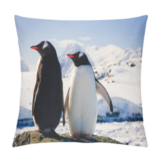 Personality  Two Penguins Pillow Covers