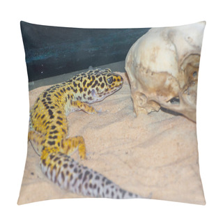 Personality  Common Leopard Gecko Its Scientific Name Is Eublepharis Macularius Pillow Covers