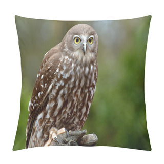 Personality  Australian Barking Owl Pillow Covers