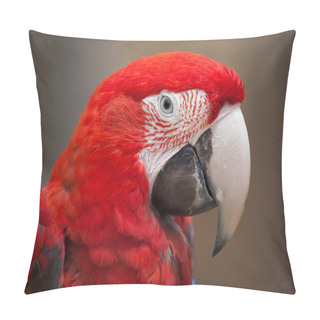 Personality  Green-winged Macaw (Ara Chloropterus) Pillow Covers