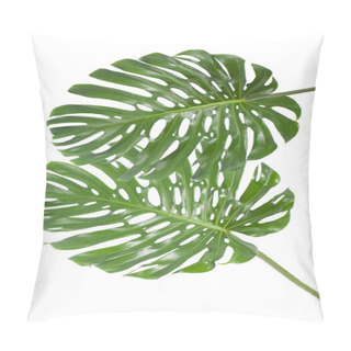 Personality  Leaf Of A Big Monstera In White Background Pillow Covers