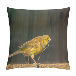 Personality  A Small Yellow Bird Holding A String In Its Beak Pillow Covers