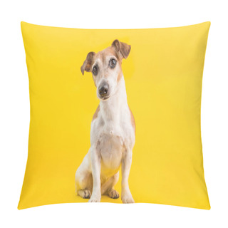 Personality  Adorable Dog Portrait In Full Lenght On Yellow Background Pillow Covers
