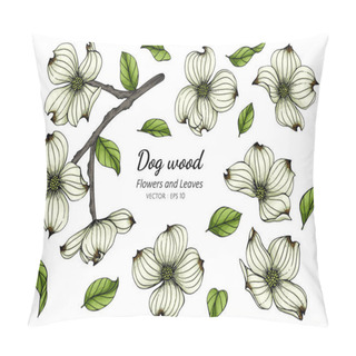 Personality  Set Of White Dogwood Flower And Leaf Drawing Illustration With Line Art On White Backgrounds. Pillow Covers