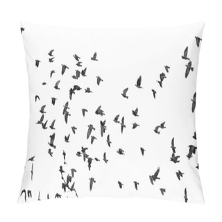 Personality  Flock Of Birds Isolated On White Background (Rook And Jackdaw) Pillow Covers