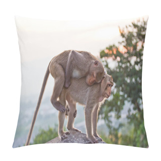 Personality  Crab-eating Macaque Monkey Pillow Covers