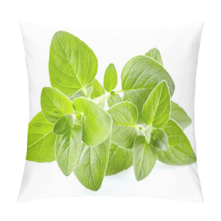 Personality  Oregano Leaves In Closeup Pillow Covers