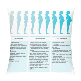 Personality  Infographic Of Pregnant Woman In Different Period Pillow Covers