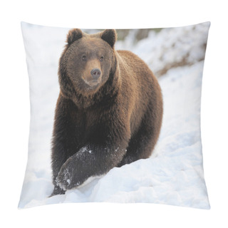 Personality  Bear In Winter Pillow Covers