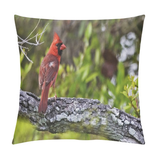 Personality  A Northern Cardinal, Cardinalis Cardinalis, Perched In Tree Pillow Covers