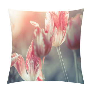 Personality  Springtime Garden Flowers  Pillow Covers