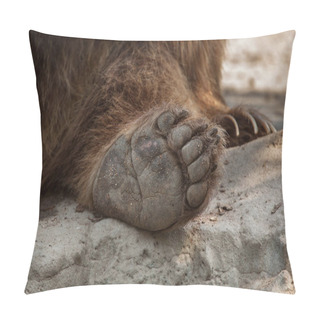 Personality  Eurasian Brown Bear  Pillow Covers