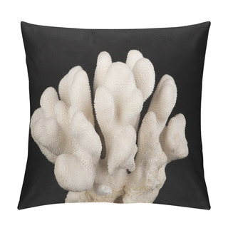 Personality  Coral In Black Background. One White Coral Isolated On Black Background. Marine Pillow Covers