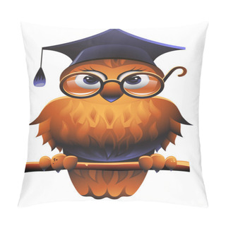 Personality  Wise Owl Pillow Covers