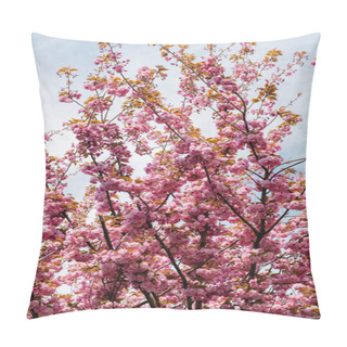 Personality  Blooming Pink Flowers On Branches Of Cherry Tree Against Sky In Park Pillow Covers