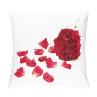 Personality  Red Flower And Flower Petals Pillow Covers