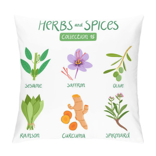 Personality  Herbs And Spices Collection 15 Pillow Covers