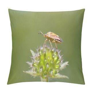 Personality Little Bug On Flower Pillow Covers