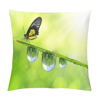 Personality  Dew And Butterfly Pillow Covers