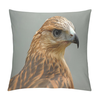 Personality  Portrait Of A Hawk Pillow Covers
