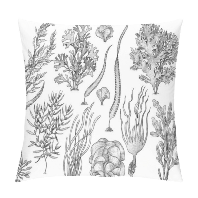 Personality  Seaweed, Kelp Collection, Illustration, Drawing, Colorful Doodle Vector Pillow Covers