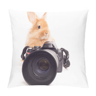 Personality  Rabbit Photographer. Pillow Covers