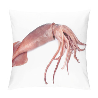 Personality  Nice Fresh Squid Pillow Covers
