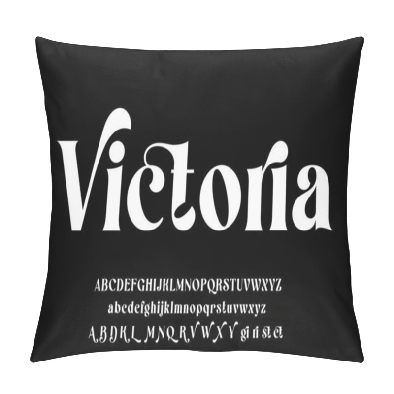 Personality  Elegant luxury alphabet display font vector with ligature and alternate pillow covers