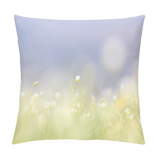 Personality  White Wildflowers, Spring Nature Background Pillow Covers