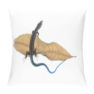 Personality  Skink Lizard On Dry Leaf Pillow Covers