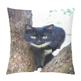 Personality  Fluffy Cat Is Sitting On A Tree Branch. Pet. Cat For A Walk In The Yard. The Cat Is Climbing Trees. Pillow Covers