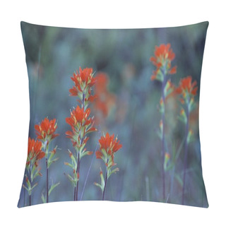 Personality  Red Indian Paintbrush Flowers Pillow Covers