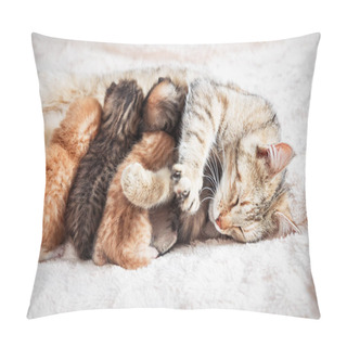 Personality  Mother Cat Nursing Baby Kittens Pillow Covers