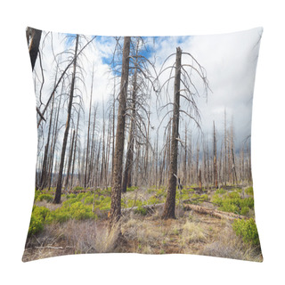 Personality  Spooky Dead Tree Forest Pillow Covers