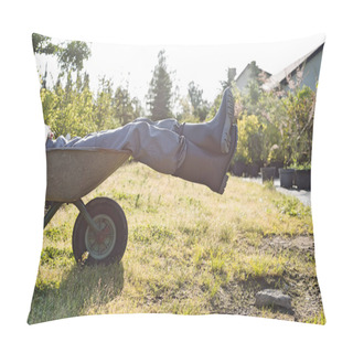 Personality  Man Relaxing In Wheelbarrow Pillow Covers