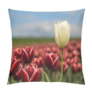 Personality  Tulip In The Field Pillow Covers
