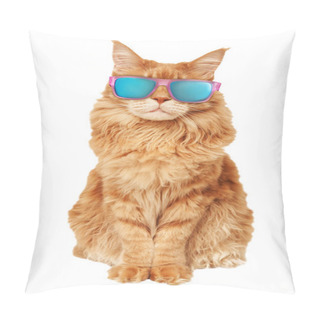 Personality  Maine Coon Cat In Sunglasses Pillow Covers